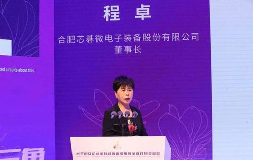 安徽六安女首富程卓發(fā)家史 打造國產(chǎn)光刻機龍頭企業(yè),身價24億元